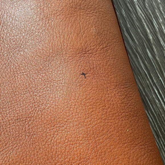 Madewell Leather Tote - Picture 4 of 8